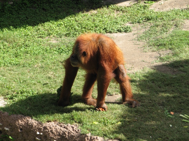 20100206 483.JPG